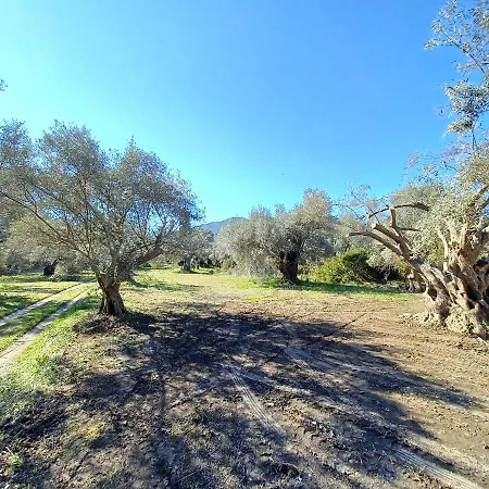 Eleonas 2, Lygia * Lygia (Lefkada)